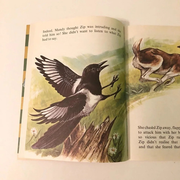 Vtg Zip and the Hedgehog Infant Series Book Robert Dallet Corlia - Picture 7 of 15